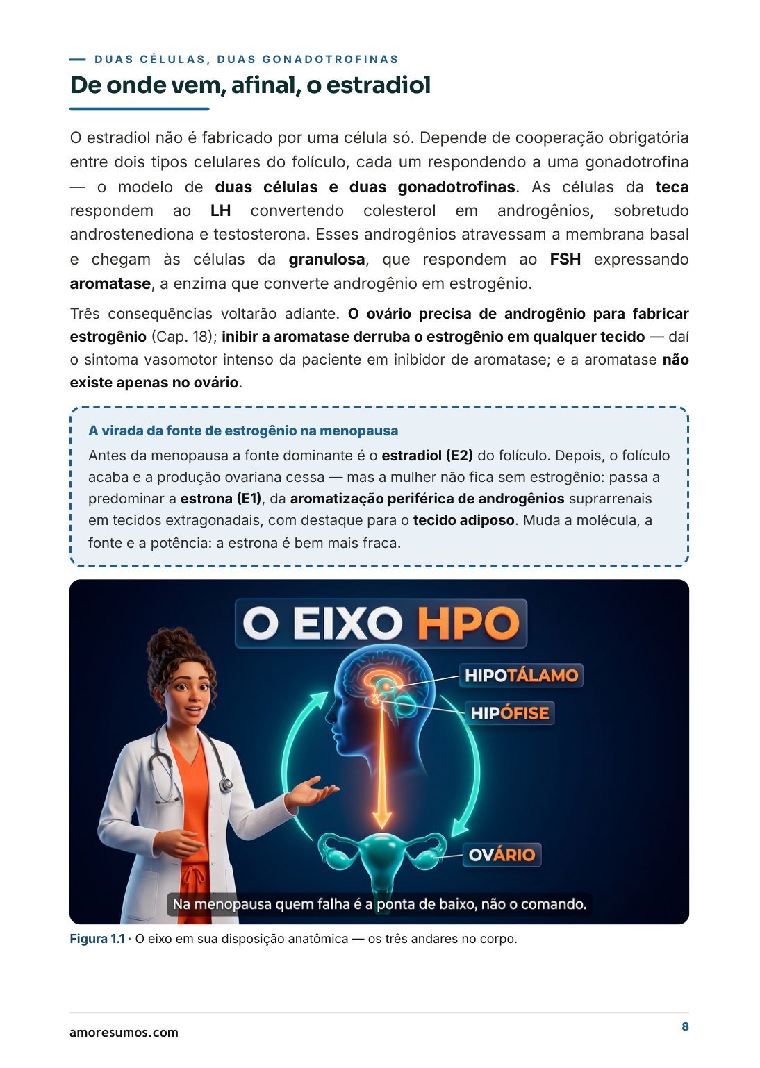 Página sobre o eixo hipotálamo-hipófise-ovário