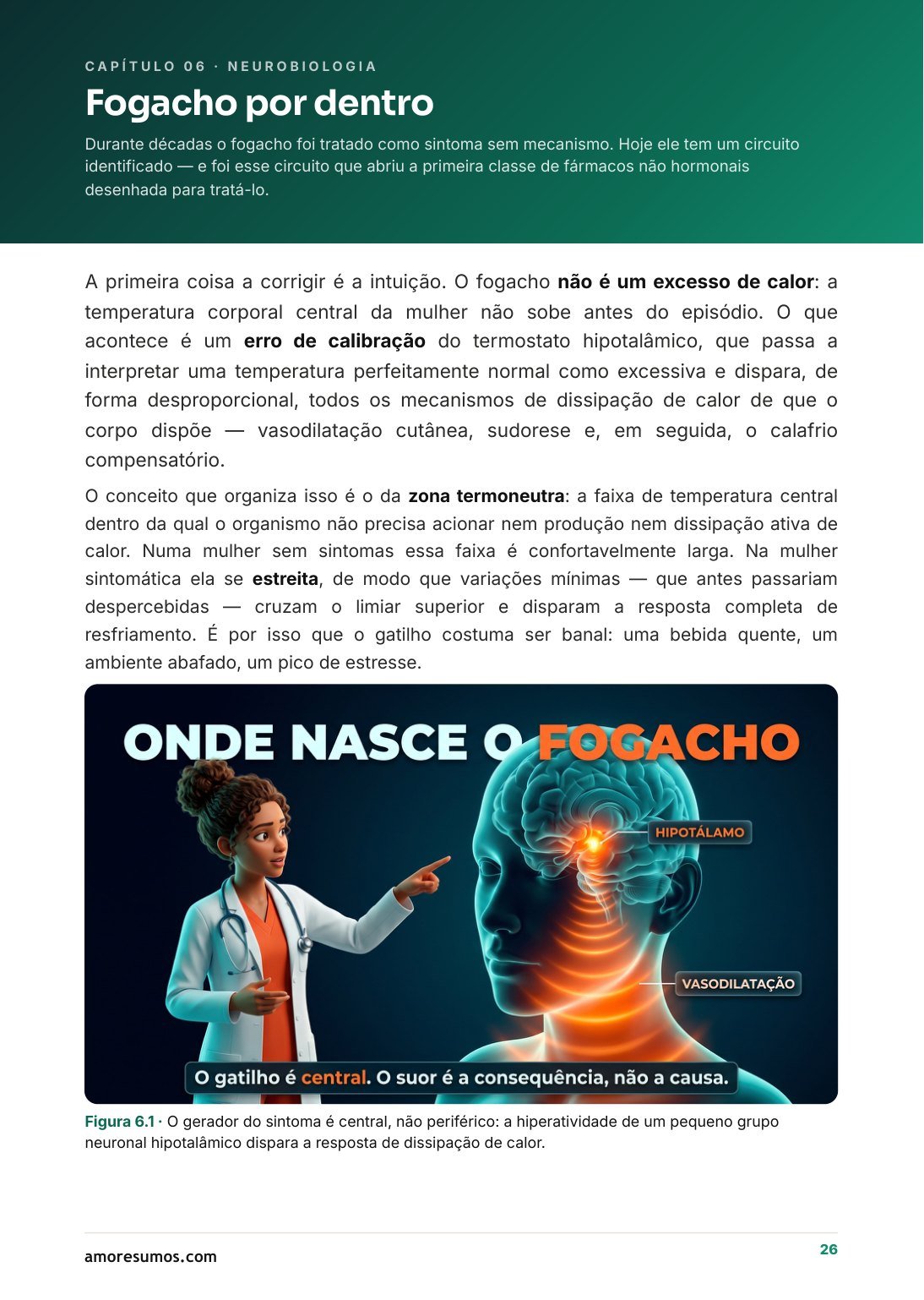 Página sobre estadiamento STRAW+10