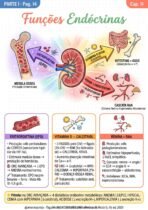 Semiologia Renal - Imagem 2