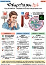 Semiologia Renal - Imagem 3
