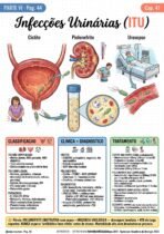 Semiologia Renal - Imagem 4